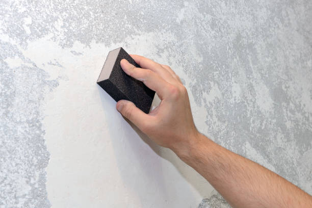 Best Black Mold Removal  in Oak Grove, TN