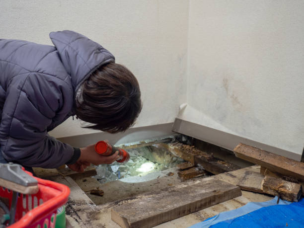Best Environmental Consulting for Mold Prevention  in Oak Grove, TN