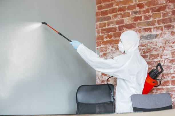 Best Industrial Mold Remediation  in Oak Grove, TN