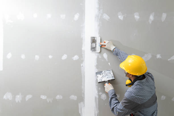 Best Emergency Mold Remediation  in Oak Grove, TN