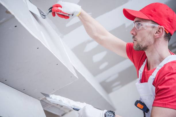 Reliable Oak Grove, TN Mold Removal Solutions